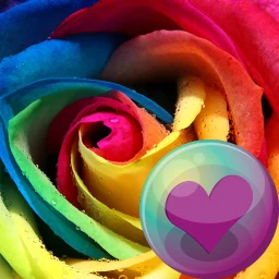 Biểu tượng Beautiful Roses HD Wallpapers